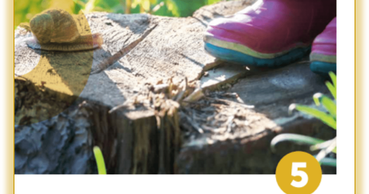 early-childhood-education-guidelines-for-excellence-virtual-workshop