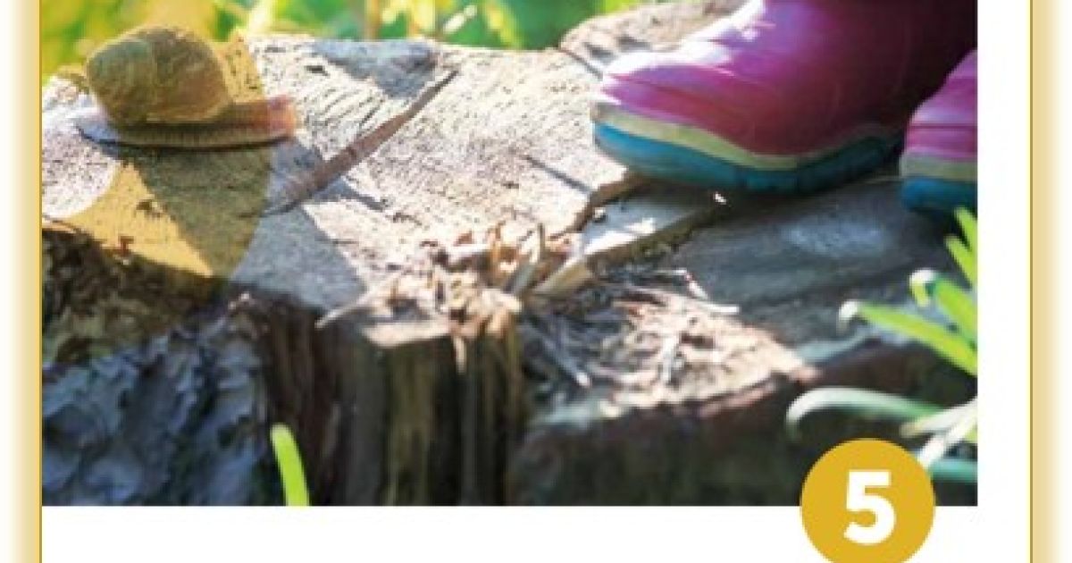 Early Childhood Environmental Education Programs Guidelines for