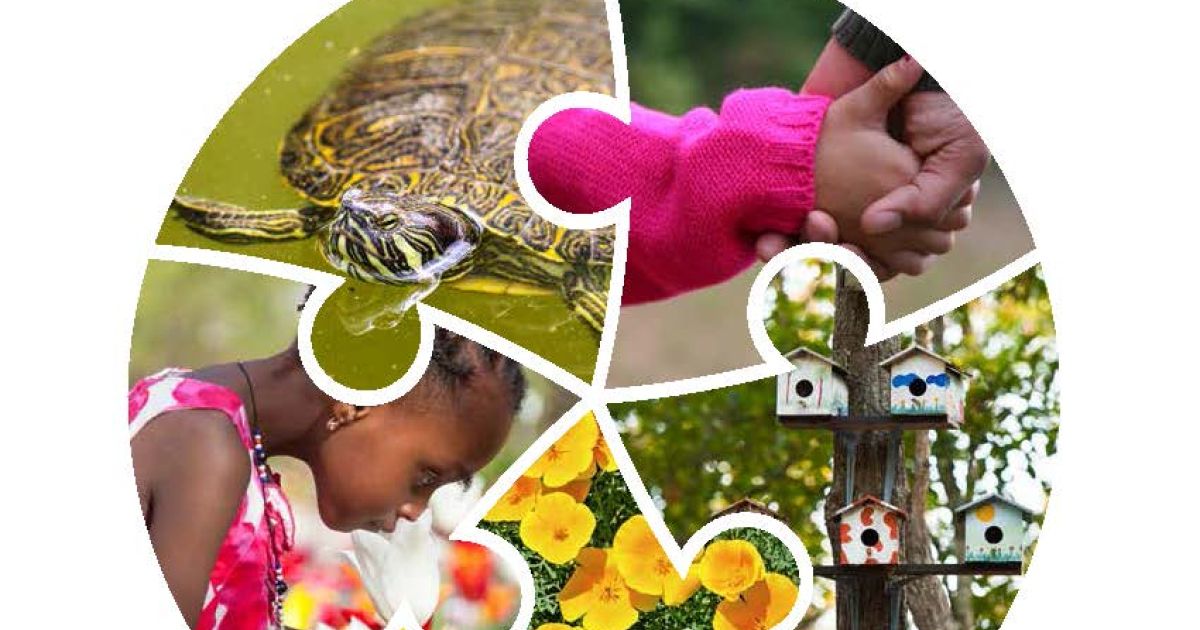 International Journal of Early Childhood Environmental Education