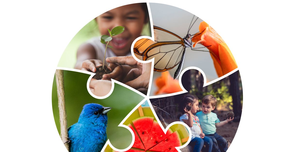 International Journal of Early Childhood Environmental Education