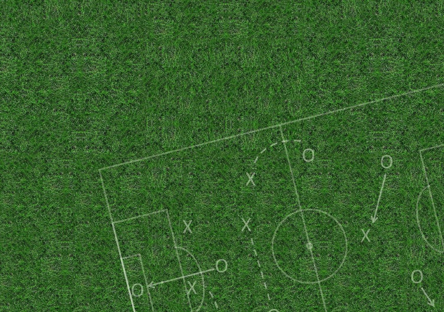 Green lawn with white outline of a soccer field